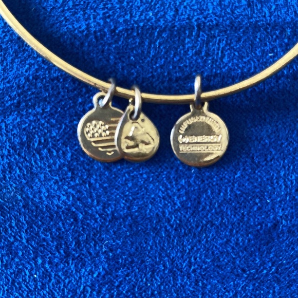 Alex and Ani Charm Bangle - Picture 4 of 6